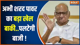 Maharashtra Politics: Ajit Pawar जीत गए...लेकिन चाचा Sharad Pawar अभी भी खेल रहे बड़ा खेल !