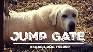 Jump Gate Modification -  Revisiting the Automatic Livestock Guardian Dog Feeding Station