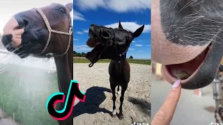 The Best HORSE TikTok Compilation 2022 #75