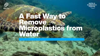 This Company has Invented a Fast Way to Remove Microplastics from Water | Uplink | WEF