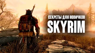 Skyrim - SECRETS FOR BEGINNERS! Or minor tricks of which you might not know!