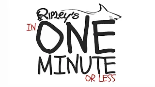 Ripley's in One Minute (or Less): Sand Tiger Sharks