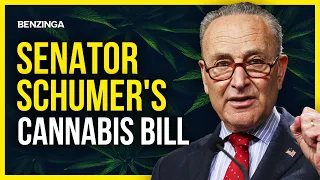 WATCH LIVE: Senator Schumer Unveils Cannabis Legalization Bill