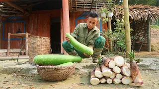 Taking care of the sugarcane garden. Exploiting fish ponds. Harvesting gourds, shoots go to market