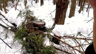 Охота на куницу капканами. Закрытие путика (Будни охотника и рыбака)