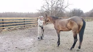 "Осаживание" Борис. Рада.