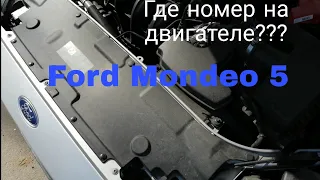 Форд Мондео 5. Номер двигателя.