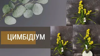 Орхідея цимбідіум🌹🪴🌺  Секрети догляду за кімнатною красунею! догляд за рослинами  кімнатні рослини