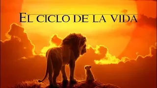 El ciclo de la vida | Circle Of Life | Castilian Spanish S+T