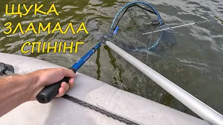 Щука зламала спінінг, спіймали "море" щуки