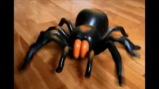 Big RC Spider!