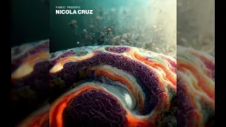 Fabric presents Nicola Cruz Continuous Mix by Stellar Wind