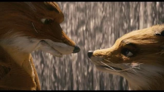 Fantastic Mr.Fox Waterfall Scene