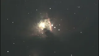Live Video of M42 Orion Nebula Skywatcher 300P Uranus C camera #space #telescope #astronomy