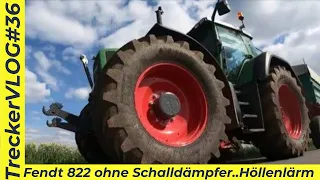 TreckerVLOG 36 #Fendt Favorit 822 läuft ohne Schalldämpfer | Scheifele Kreissäge mit Hydraulik Wippe