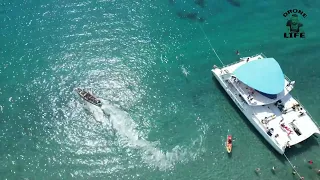 A day on the Tango catamaran.#drone #dronevideo #stluciat10 #boat #yacht #bluewater #catamarans