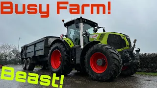 Claas Axion 870! Mucking Out, Big Barley Deliveries! Whats that from Kramp?