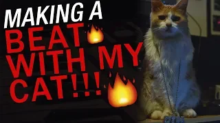 My Cat Makes a Beat (It's FIRE) - Making a Soulful Boom Bap Beat with My Cat