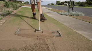 Late season Topdress : sand levelling on the Tiftuf