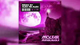 MOLFAR - MANDRAGORA (REMIX BY ALEX NE ALEX)