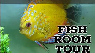 Terry's Fish Room Tour