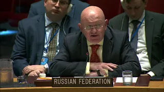 Vassily Nebenzia at the UN Security Council Meeting on United Nations peacekeeping operations