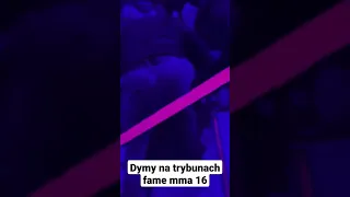 dymy na trybunach fame mma 16 #shorts dymy na fame mma #famemma denis szeliga lisc