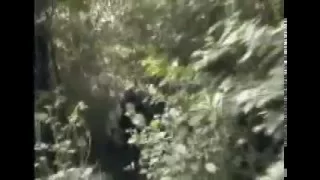 Garelli cross ape polini mud
