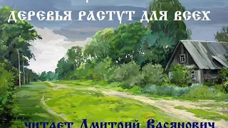 В. П. Астафьев. Деревья растут для всех. Читает Дмитрий Васянович