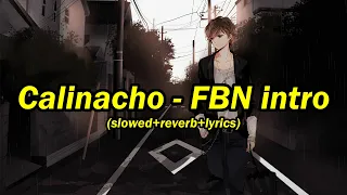 Calinacho - Femei Bautura Necaz Intro ( slowed +reverb +lyrics ) / [Anime Visualizer]