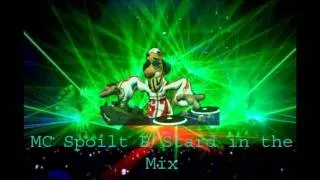 PH Electro - Englishman in New York (DJ Spoilt B'Stard remix)