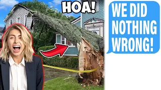 HOA Hired Company To Illegally Cut MY Tree! It Destroyed My House!