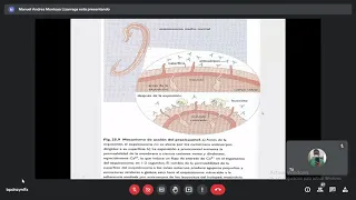 5. Terapia antiparasitaria y Epidemiología de Covid 19