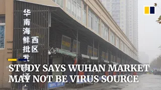 Deadly coronavirus may not have originated in Wuhan seafood market, Chinese scientists say