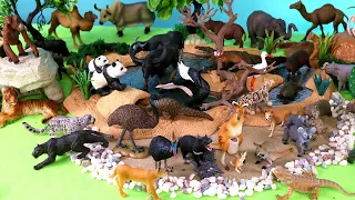 Fun Safari Diorama for Asian and Australian Animal Figurines - Learn Animal Names