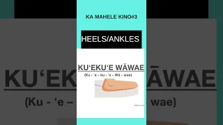 How to say KUE`EKU`E WAWAE (Ankles/Heels) in Hawaiian - Body Part3 #short