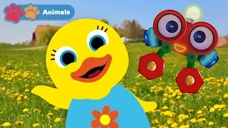 Toddlers Learn Animals with Tillie Knock Knock & Robi | Educational Early Learning Videos for Kids