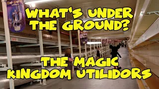 What's Under the Ground?  The Magic Kingdom Utilidors - Confessions of a Theme Park Worker