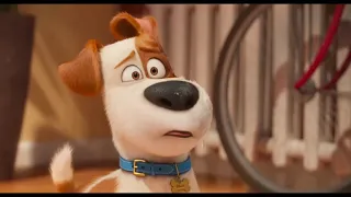 #thesecretlifeofpets2 #PETS #CUTE #ADORABLE #ANIMAL #FUNNYCLIPS #CLIPS #SECRETLIFEOFPETSCLIPS