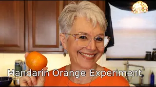 Canning Mandarin Oranges and Freeze-Drying the Peels