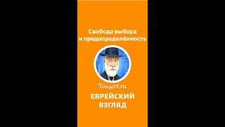 СВОБОДА ВЫБОРА И ПРЕДОПРЕДЕЛЁННОСТЬ. Рав Ашер Кушнир