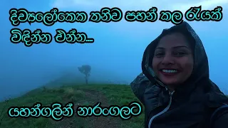 Narangala Solo Camping නාරංගල තනිව ගෙවූ කඳවුරු රැයක මතක cooking and camping in rain