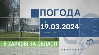 Прогноз погоди в Харкові та Харківській області на 19 березня