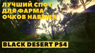 Black Desert Online PS4 ➤ ФАРМ ОЧКОВ НАВЫКОВ НА НАЧАЛЬНОМ ЭТАПЕ