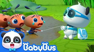 Baby Ant Gets Lost and Exhausted | Super Panda Rescue Team 2 | Kids Cartoon | BabyBus