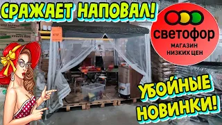 🚦СВЕТОФОР🚦СРАЖАЕТ НАПОВАЛ🔥Своими новинками в ИЮЛЕ 2022💥Обзор Любимый Василëк🌼