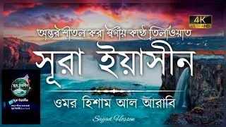 অন্তর শীতল করা কণ্ঠে সূরা ইয়াসীন (سورة يس) |  Surah Yaseen Recited by Omar Hisham Al Arabi | Sajjad