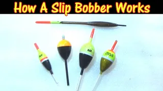 How Does A Slip Bobber Work?