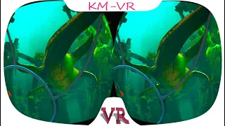 Under the water VR Video