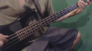 Camel   Airborn (BASS Cover)